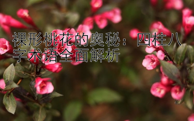 裸形桃花的奥秘：四柱八字术语全面解析