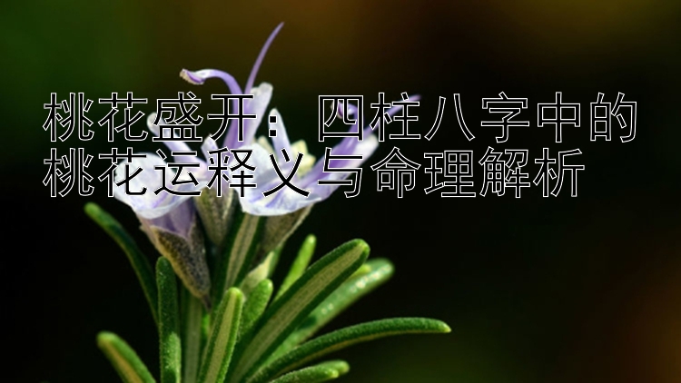 桃花盛开：四柱八字中的桃花运释义与命理解析