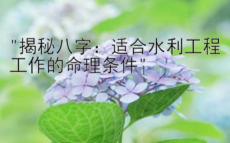 揭秘八字：适合水利工程工作的命理条件