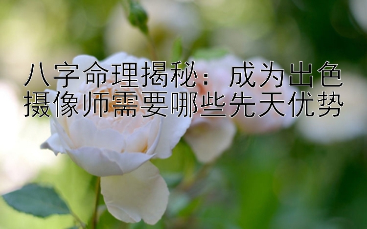 八字命理揭秘：成为出色摄像师需要哪些先天优势