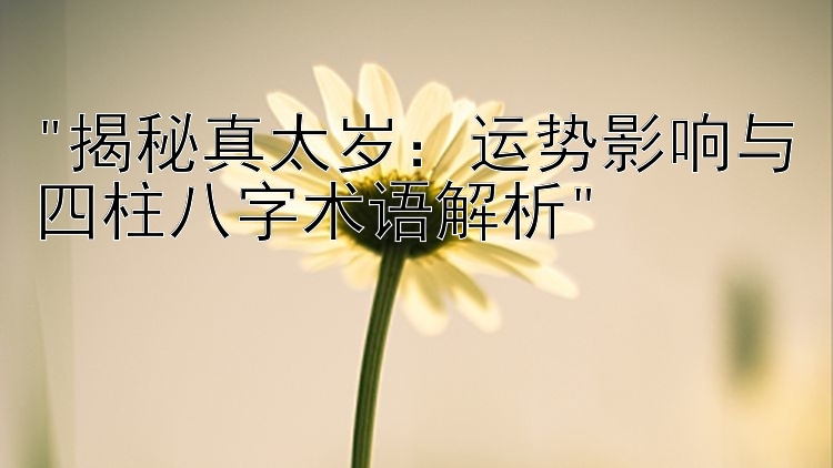 揭秘真太岁：运势影响与四柱八字术语解析