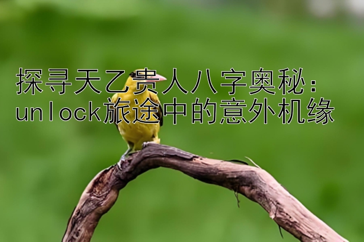 探寻天乙贵人八字奥秘： unlock旅途中的意外机缘