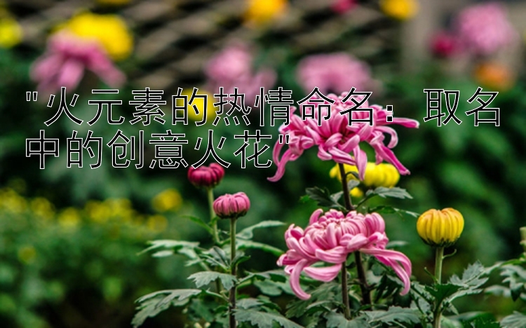 火元素的热情命名：取名中的创意火花