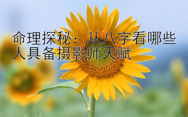 命理探秘：从八字看哪些人具备摄影师天赋