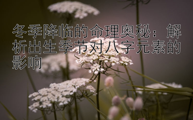 冬季降临的命理奥秘：解析出生季节对八字元素的影响