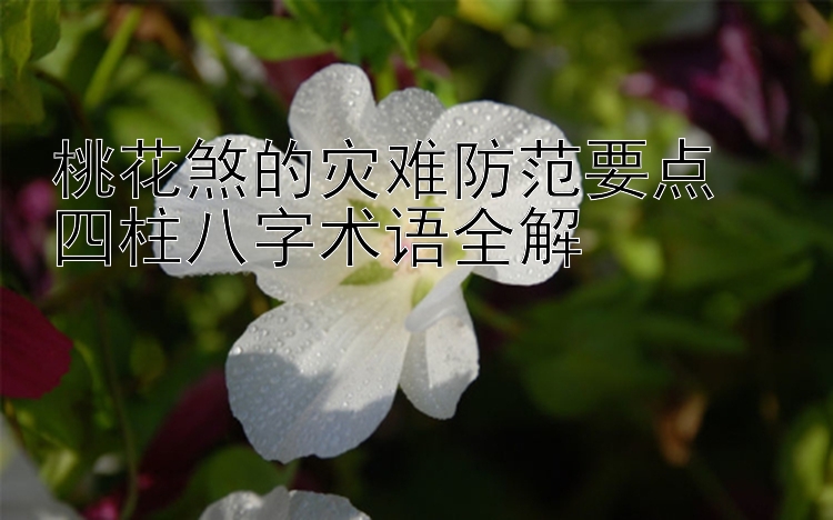 桃花煞的灾难防范要点  
四柱八字术语全解